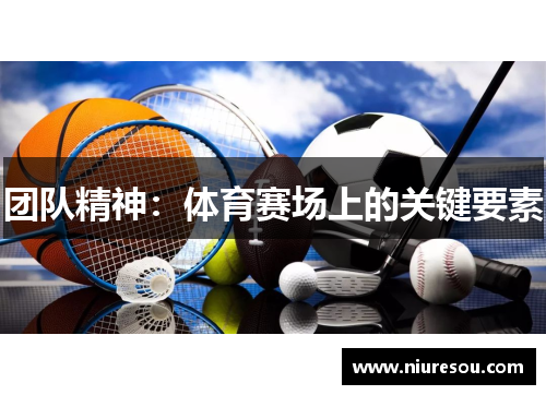 团队精神：体育赛场上的关键要素